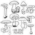 Set with outline mushrooms.